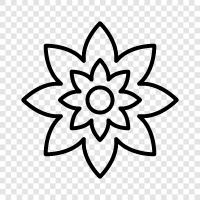 Beautiful, Lovely, Flower icon svg