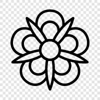 Beautiful, Garden, Bloom, Season icon svg