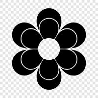 Schön, Blüte, Bouquet, Blume symbol