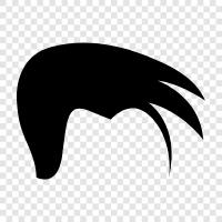 Schönheit, Haarprodukte, Frisuren, Haarverlängerungen symbol