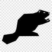 beaver dam, beaver lodge, beaver population, beaver reproduction icon svg