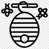 bee, honey, beehive, apiary icon svg