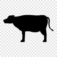 beef, dairy, eggs, poultry ox icon svg