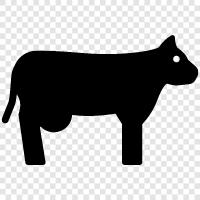 beef, milk, cheese, farming icon svg