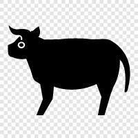 Rindfleisch, Huhn, Schweinefleisch, Truthahn symbol