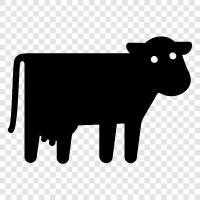 beef, milk, cheese, yogurt icon svg