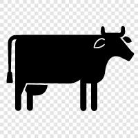 Beef, Milk, Cows, Farming icon svg