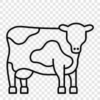 beef, dairy, meat, milk icon svg