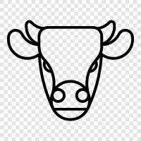 beef, milk, cheese, yogurt icon svg