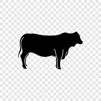 beef, milk, cheese, bovine icon svg