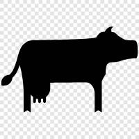 Beef, Calf, Dairy, Meat icon svg