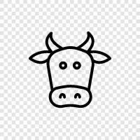 beef, milk, cheese, beefy icon svg