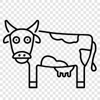 beef, milk, cheese, yogurt icon svg