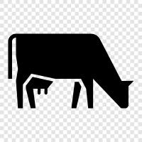 beef, milk, leather, dung icon svg