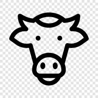 beef, milk, cheese, farming icon svg