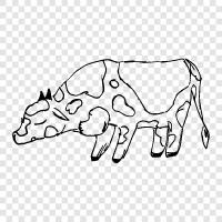 beef, milk, cheese, udder icon svg