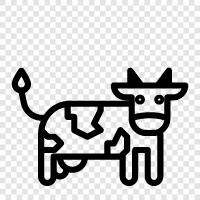 beef, milk, farming, animal icon svg