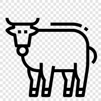 beef, milk, cheese, butter icon svg