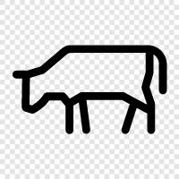 beef, milk, cheese, bull icon svg