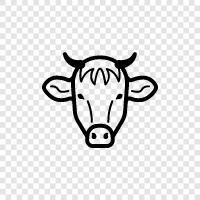 beef, milk, cheese, farming icon svg