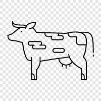 beef, milk, cheese, farming icon svg