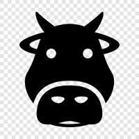 beef, agriculture, animal, farming icon svg