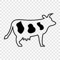 Beef, Mutton, Milk, Cheese icon svg