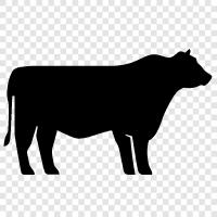 beef, milk, agriculture, farming icon svg