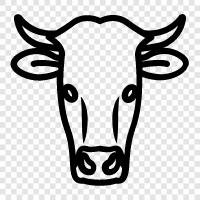 Rindfleisch, Milch, Käse, Rinder symbol