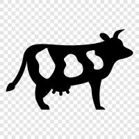 Beef, Milk, Cattle, Red icon svg