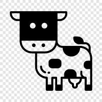 beef, milk, cheese, fat icon svg