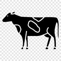 Rindfleisch, Milch, Käse, Joghurt symbol