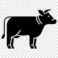 beef, milk, cheese, farming icon svg