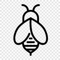 beehive, honey, beekeeper, pollination icon svg