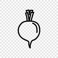 beet, roots, vegetables, health icon svg