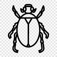 beetle, car, dune, scar icon svg