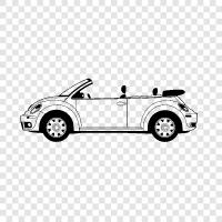 beetle beetle, beetle car, Beetle bug, beetle car reviews icon svg