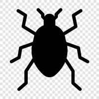 beetle, bug, fly, caterpillar icon svg