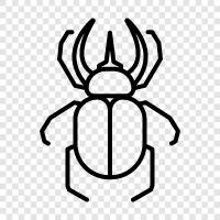 Beetlejuice, Beetle Bailey, BeetleCat, Beetles icon svg