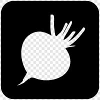 beetroot, beet juice, beet salad, beetroot salad icon svg