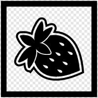 berry, fruit, delicious, sweet icon svg