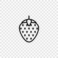 berry, fruit, flavor, sweet icon svg