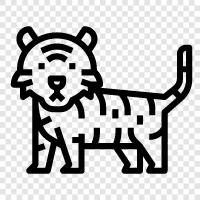 big cat, African lion, endangered, endangered species icon svg