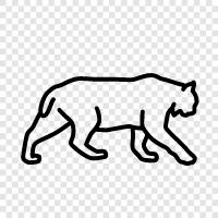 big cat, animal, cougar, wild icon svg