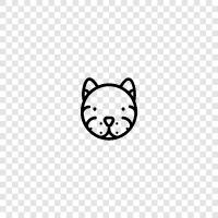 big cat, endangered, endangered species, wild cat icon svg