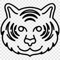 big cat, big cat conservation, big cat rescue, big cat sanctuary icon svg