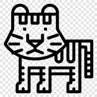 big cat, cat, white tiger, tiger cub icon svg