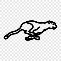 big cats, predators, hunting, speed icon svg