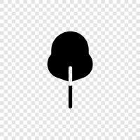 big, leaves, bark, stem icon svg