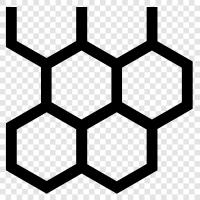 Biology, Cellulose, Cellulose Nanocrystals, Cellul icon svg